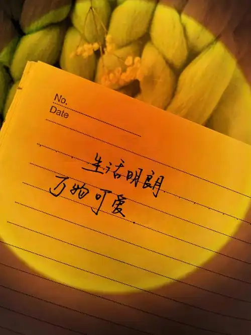 手写|生活明朗,万物可爱.