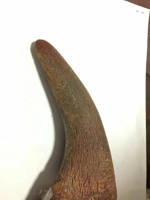 明代的犀牛角目前市场价多少? - 知乎