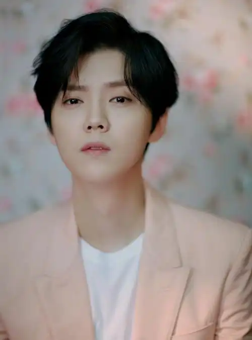 明星鹿晗,代表作品包括重返20岁/我是证人/盗墓笔记/摆渡人 exo