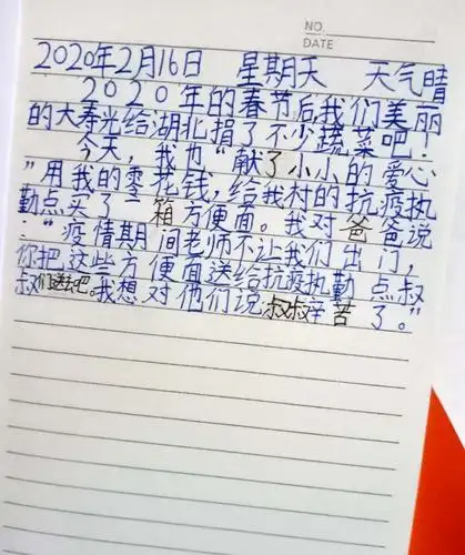 达字刘小学生的宅家日记