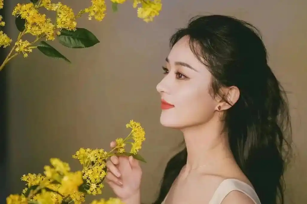 壁纸#高清壁纸 温柔恬静 #宝藏女孩#赵丽颖 - 抖音