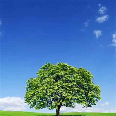 头像图片真实自然风景 最新真实风景图片微信头像大全