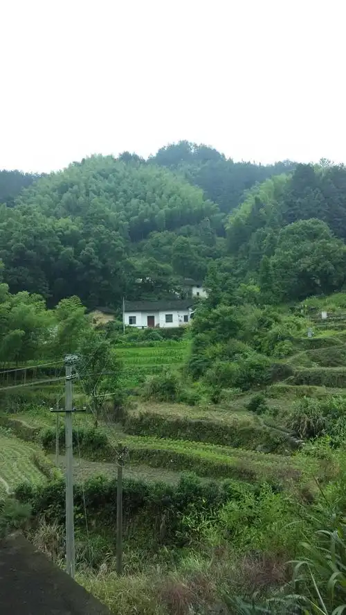 大山深处的坚守