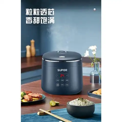 苏泊尔迷你型2l智能玲珑电饭煲小电饭锅智能预约小型便20fc45