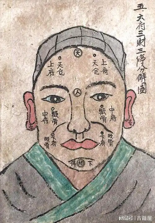 相术古籍《面相九星照命图》清抄本