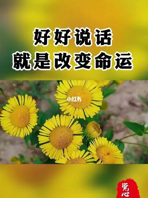 720_960竖版 竖屏