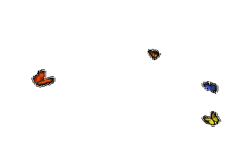 错过再等一年云南金平上亿只蝴蝶即将爆发时间地点全攻略来了