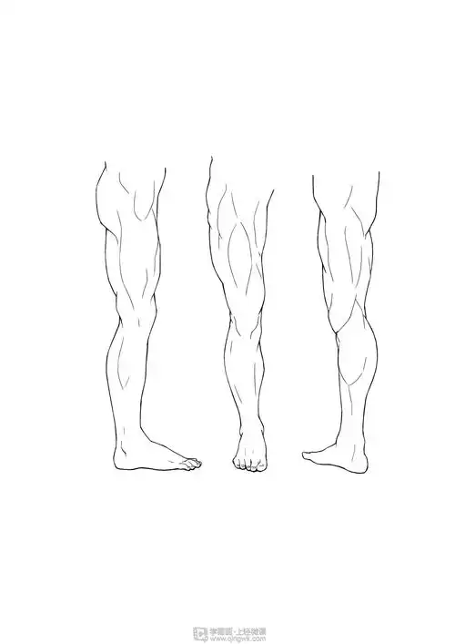 rh20218你想怎么说临摹腿腿部人体肌肉结构入门训练