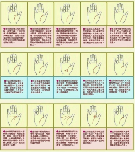 手相中医手诊圣经-生命线