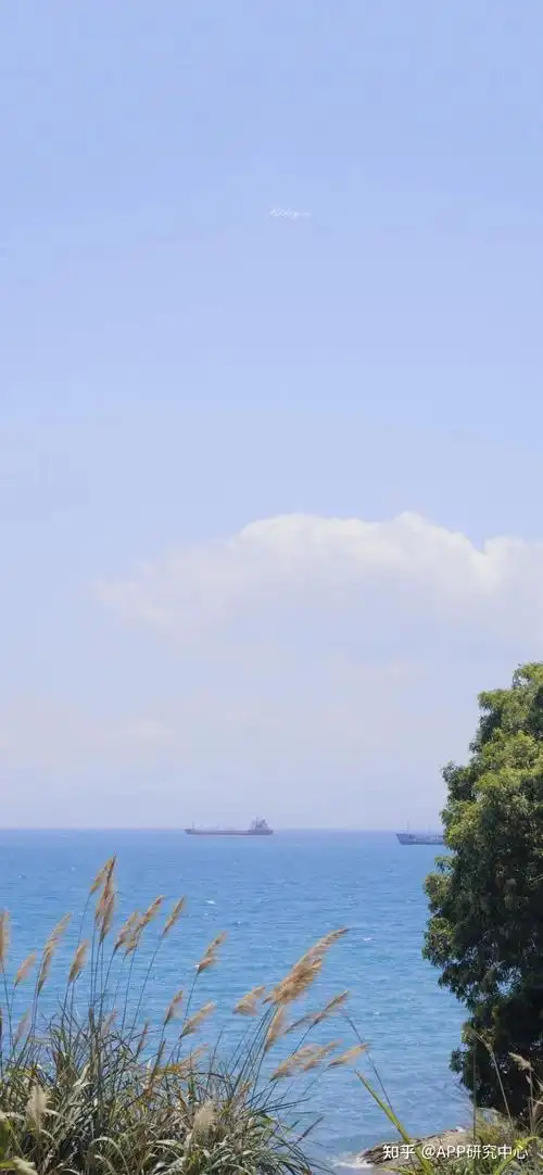 壁纸67一起去海边10