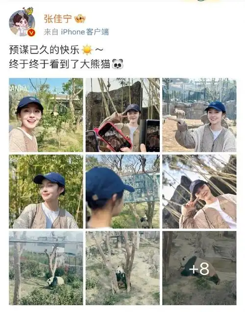 张佳宁终于看到大熊猫了