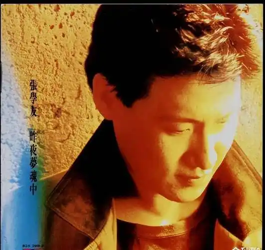 这部电影,让罗美薇的名气又往上登了一个台阶,张学友这边新专辑《昨夜