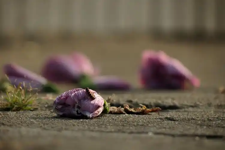 现实又很扎心的句子,太经典了,看的我心如针扎似的疼痛