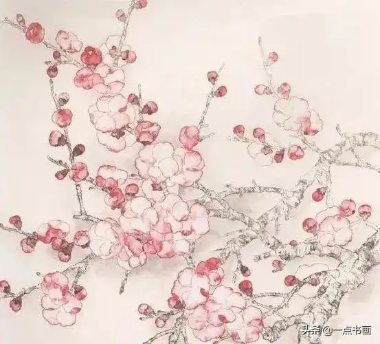 书画联盟丨工笔画杏花绘制步骤示范图文