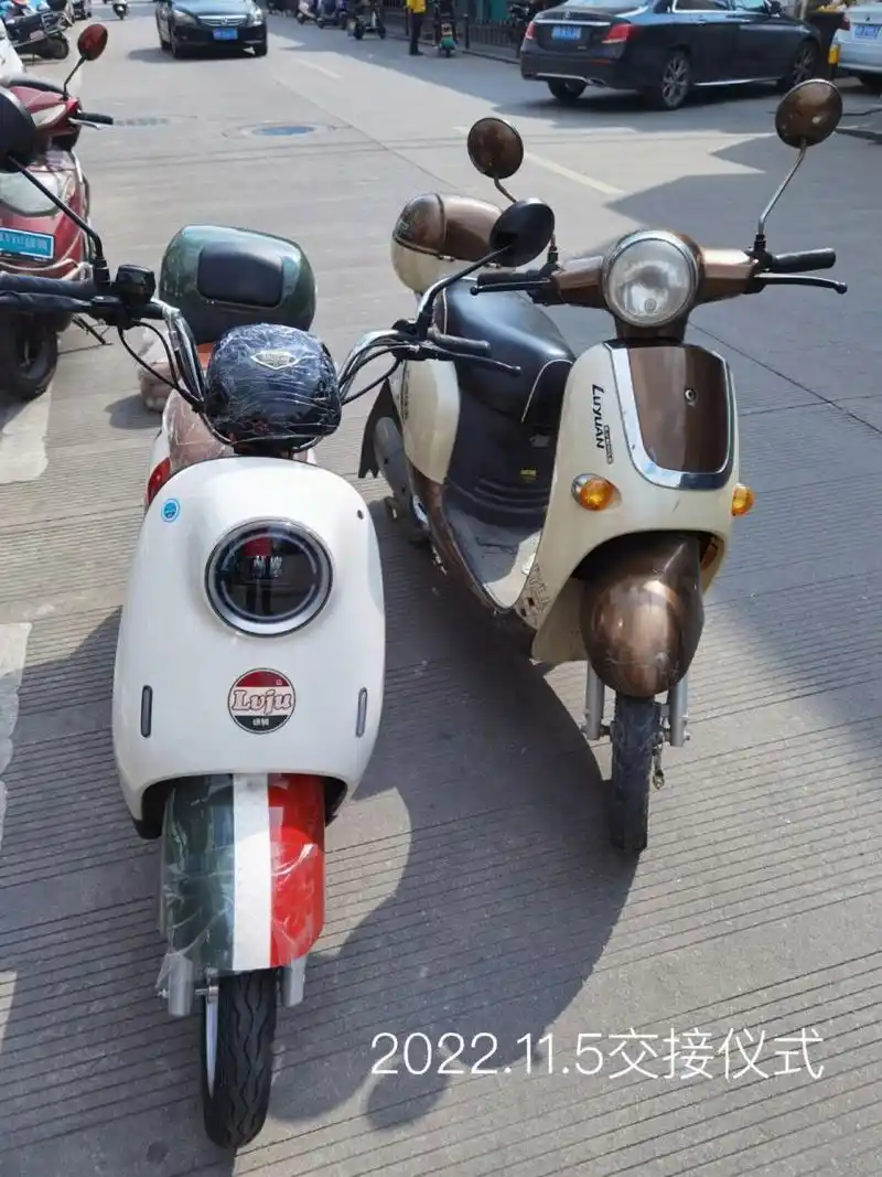 新国标绿驹电动车 不得已换新国标电动车,附近只有绿驹专卖店,图方便