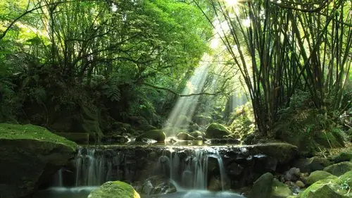 穿越时空的思念