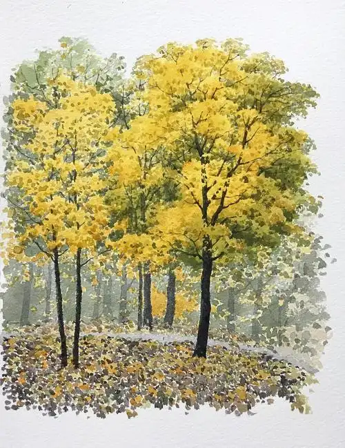 水彩教程点点点水彩画树就是这么简单