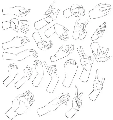 动漫人物中的手应该怎么画