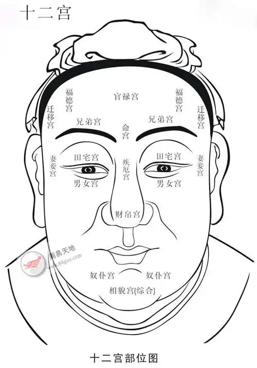 面相看出你的小家子气 什么样的面相是小家子气_