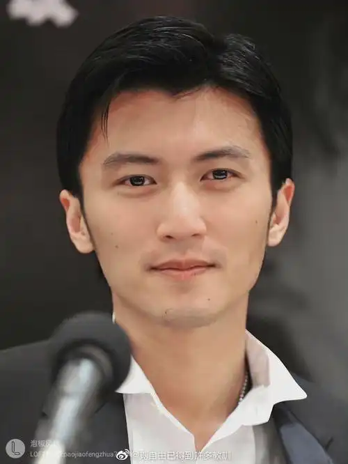 如何评价谢霆锋的颜值