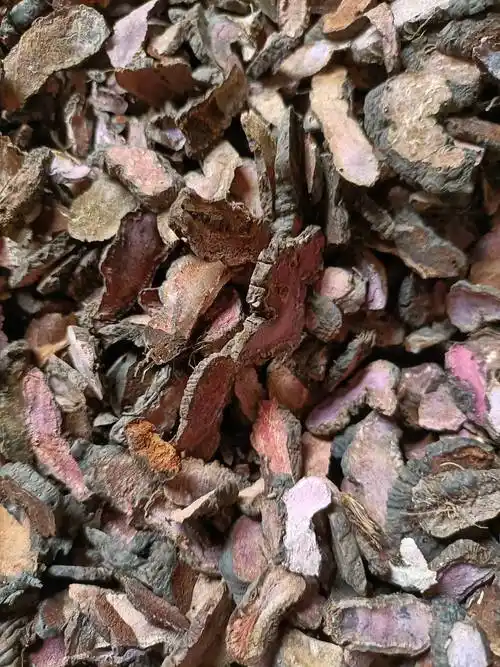 中药材草河车批发草河车的批发价格