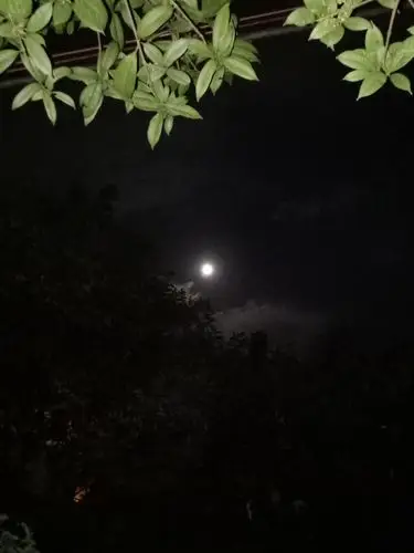 写美篇遵义八月十五月亮很难看到,今年八月十五月亮终于亮相了.