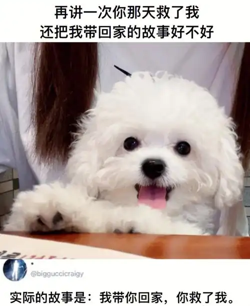 最后还是走了第二天醒来睁开眼,我跟躺在旁边的老公说的第一句话是