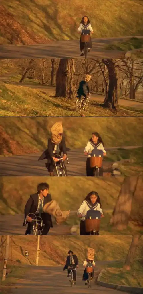 中山美穗和柏原崇的电影情书豆瓣89分的经典初恋的味道