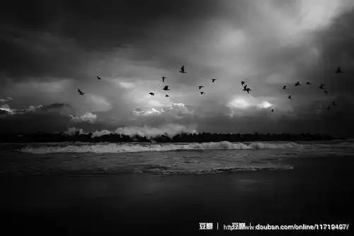 线上活动照片- 寻找属于我的安静之地