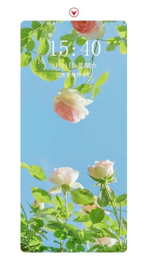 清新治愈的手机壁纸,超级养眼