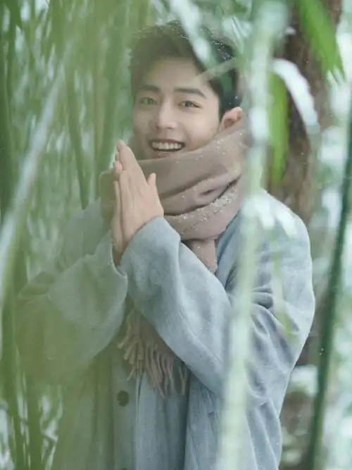 肖战冬至竹林大片