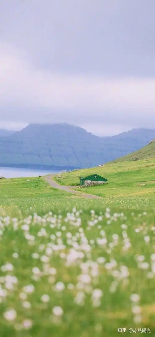 有没有类似这种风格的微信背景图头像壁纸
