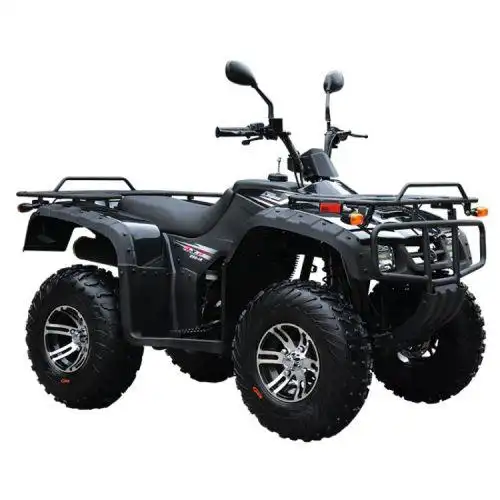 狮跑全地形摩托车四轮越野双人轴传动沙滩车越野车250-12