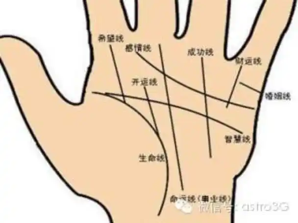 声明一点:在我诸多的手相文章中,一些网友经常问道是看左手还是看右手