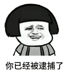 你已经被逮捕了表情包