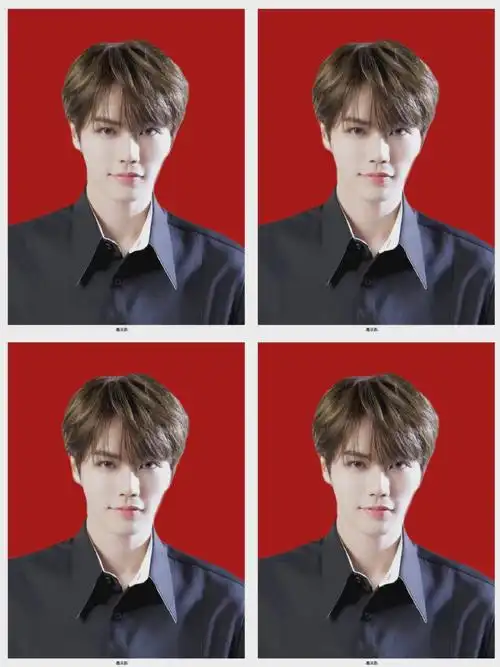 内娱男明星的证件照#林彦俊证件照9615是霸道总裁,也是清爽学长