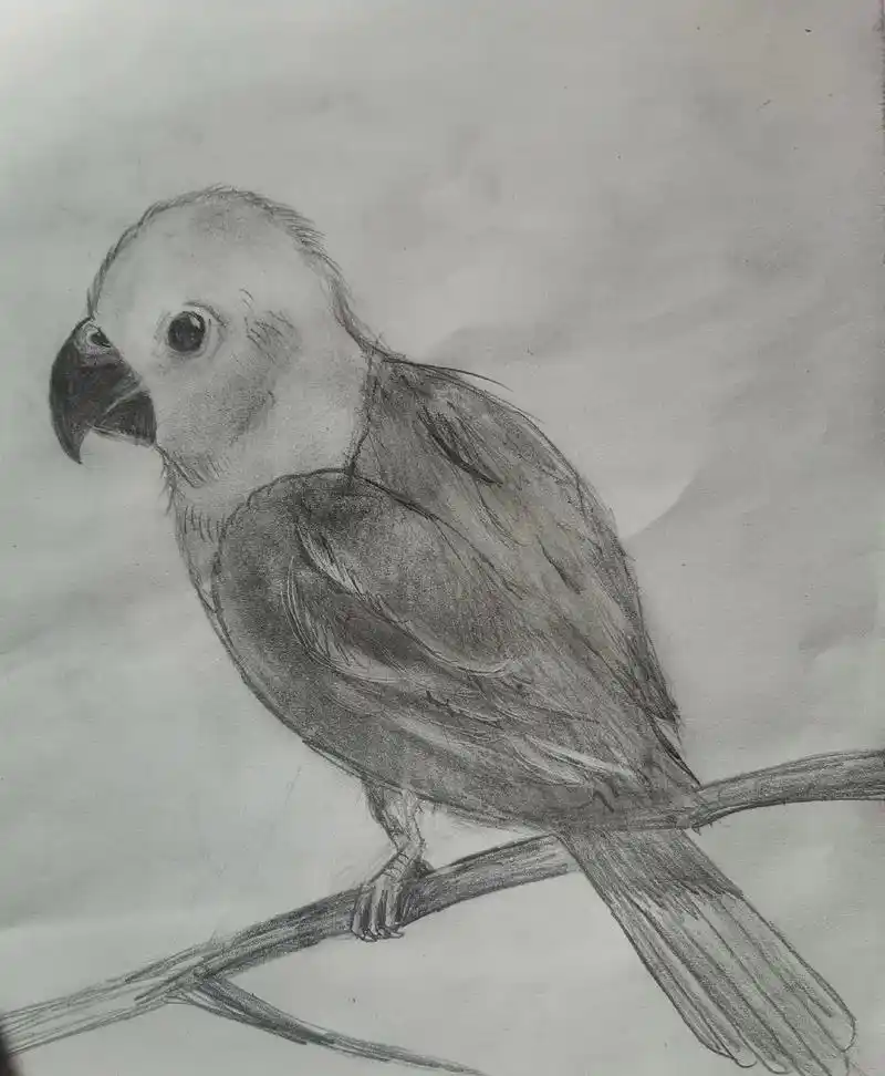 十岁儿子画的不同风格素描画#素描画简单教程 #儿童创意素描画 - 抖音