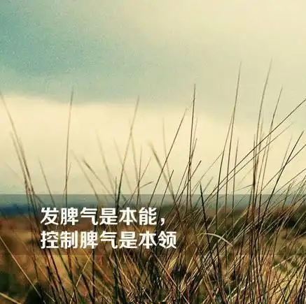 脾气不要大于本事,才是真正的教养!