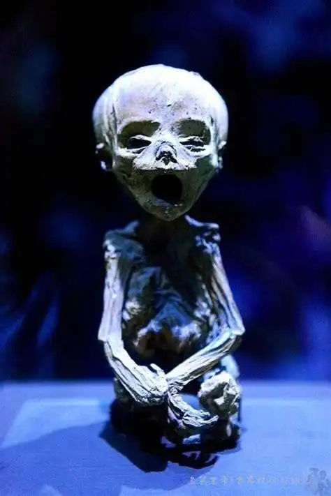 世界上最诡异的50图片_伊卟图库