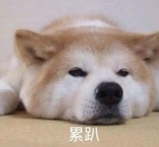 疲惫累趴了的图片,疲惫累趴了的萌图_大山谷图库