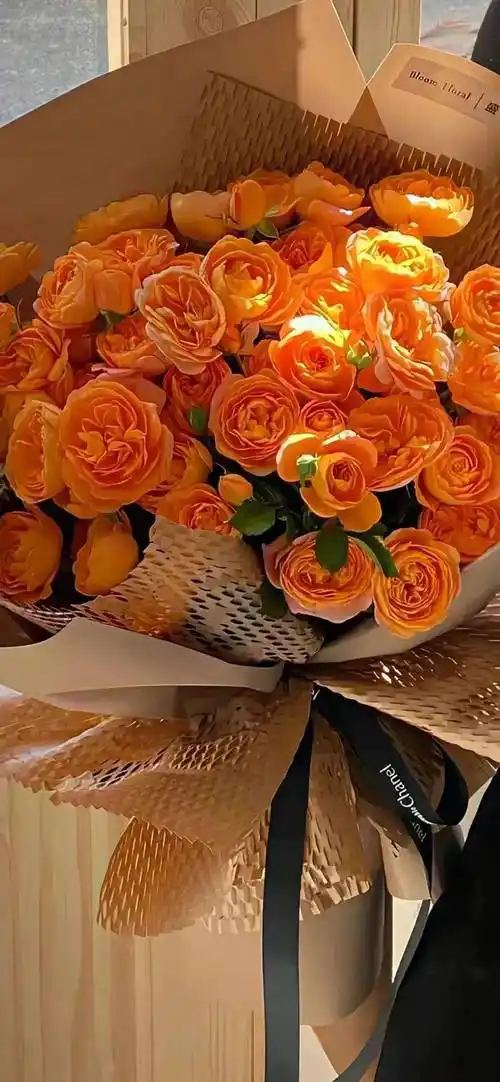 壁纸你的iphone锁屏壁纸该换了