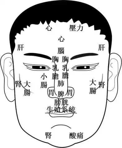 从面相看肝胆的健康状况(看鼻相揭秘你的财运)--风