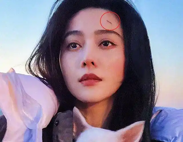 在范冰冰的这组照片中,网友发现一个明显的问题,就是范冰冰额头上的