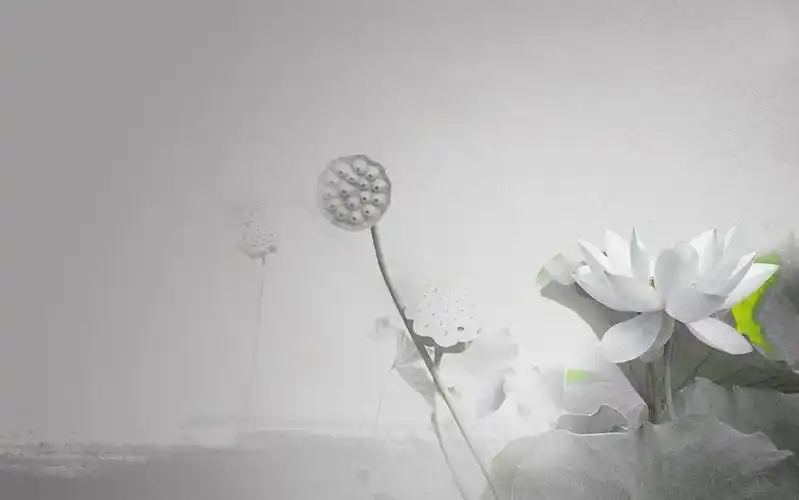 高清淡雅中国风壁纸大图