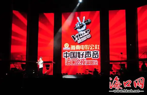 中国好声音演唱会现场.记者 张俊其 摄