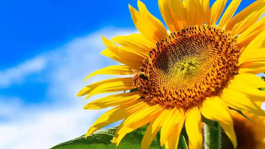 青春_一个人_苍夷