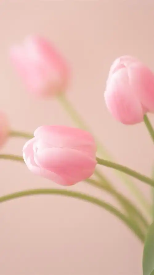 750_1334竖版 竖屏