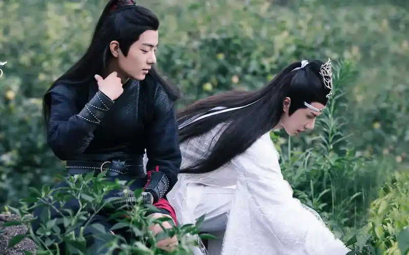 肖战王一博忘羡cp掀腐女追剧潮