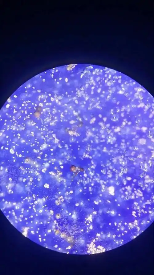 气泡大小不一,釉面浑浊 款识的位置明宣德的瓷器有这么一个特点,就是