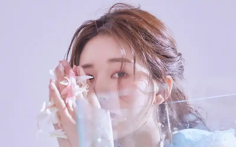 赵露思优雅迷人写真桌面壁纸高清大图预览1920x1200_大陆明星下载_美